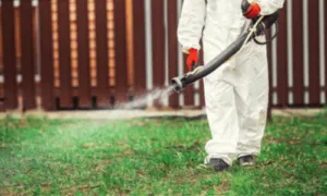 addetto alla disinfestazione spruzza un prodotto in giardino