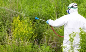 disinfestatore opera in un terreno