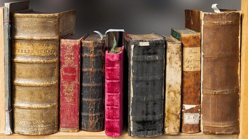 come eliminare i vermi della polvere