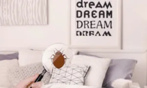 immagine di una camera da letto una mano femminile in primo piano tiene in mano una lente d'ingrandimento che inquadra una cimice dei letti disegnata