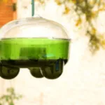 trappola per calabroni una bottiglia di plastica attaccata tra gli alberi